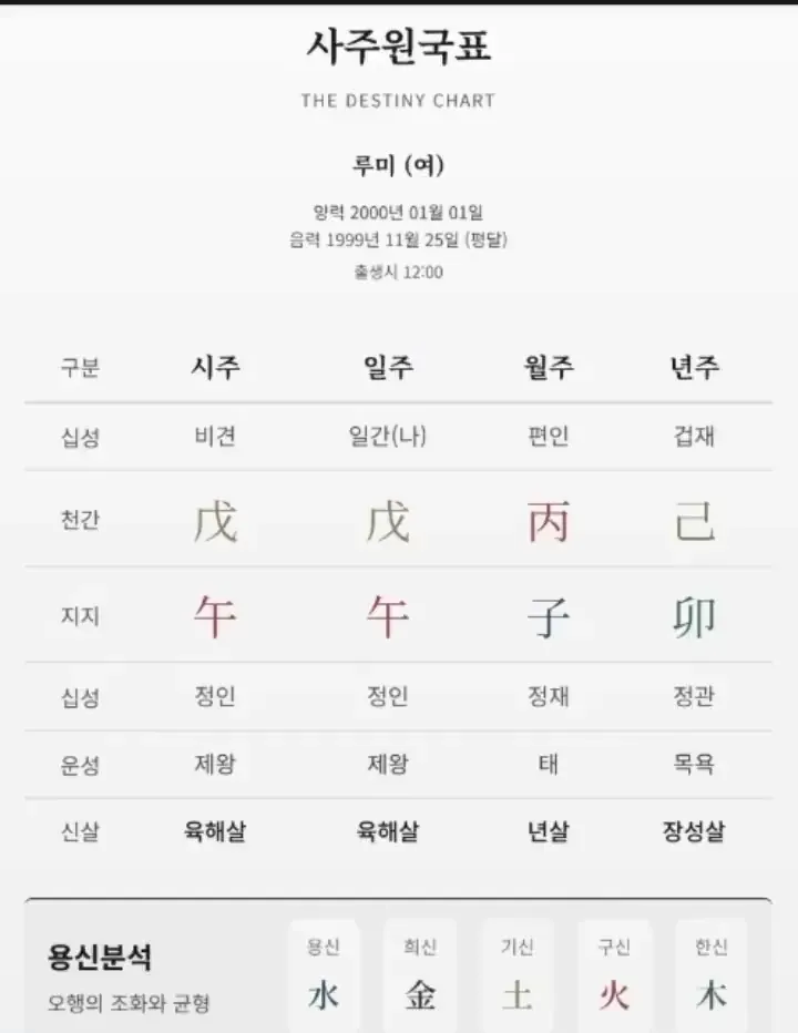 종합사주 보고서 PDF의 사주원국표 페이지